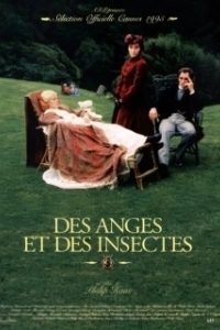 Постер Ангелы и насекомые (Angels and Insects)