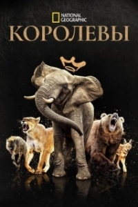 Постер Королевы (Queens)