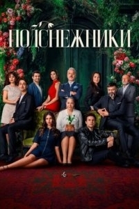 Постер Подснежники (Kardelenler)