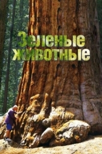 Постер Зелёные животные (Green Animal)