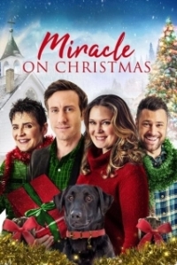 Постер Рождественское Чудо (Miracle on Christmas)