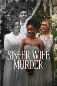 Постер Убийство жены (Sister Wife Murder)