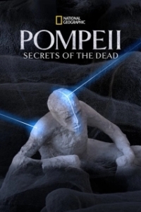 Постер National Geographic: Помпеи. Тайны мёртвых (Pompeii：Secrets Of The Dead)