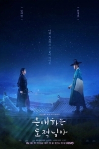 Постер Моя любимая воровка (Eunaehaneun dojeoknima)