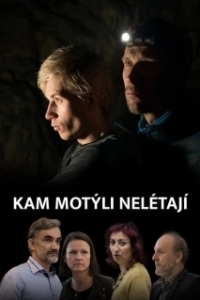 Постер Где не летают бабочки (Kam motýli nelétají)