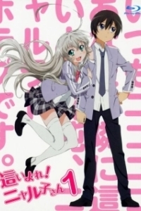 Постер Ползучий хаос! Няруко (Haiyore! Nyaruko-san)