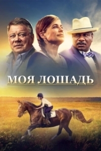 Постер Моя лошадь (A Sunday Horse)