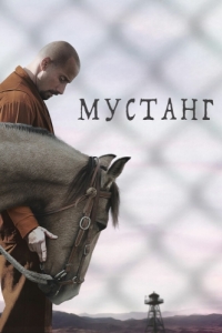 Постер Мустанг (The Mustang)