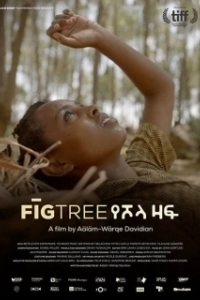 Постер Инжир (Fig Tree)