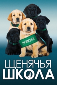 Постер Щенячья школа (Pick of the Litter)