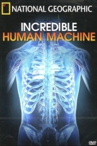 Постер Невероятное тело человека (Incredible Human Machine)
