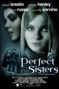 Постер Школьный проект (Perfect Sisters)