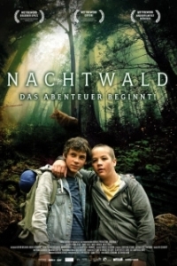 Постер Темный лес (Nachtwald)