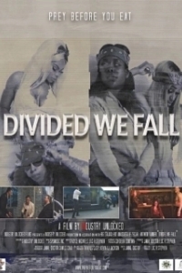 Постер Вместе мы сила (Divided We Fall)