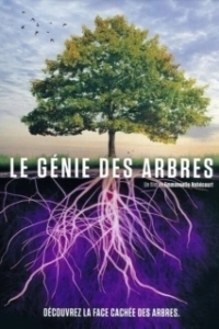 Постер Деревья: гении мира природы (Le génie des arbres)