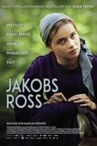 Постер Когда поёт душа (Jakobs Ross)