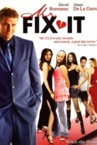 Постер Мистер «Все исправим» (Mr. Fix It)