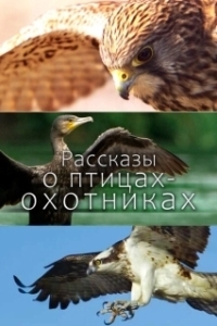 Постер Рассказы о птицах-охотниках (Tales of the Avian Hunters)