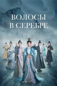 Постер Волосы в серебре (Bai fa)