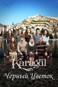 Постер Черный цветок (Karagül)
