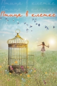 Постер Птица в клетке 