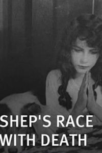 Постер Наперегонки со смертью (Shep's Race with Death)