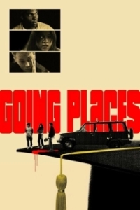 Постер Влипли по-крупному (Going Places)