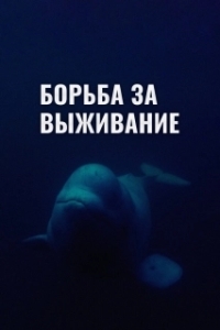 Постер Борьба за выживание (Struggle for survival)