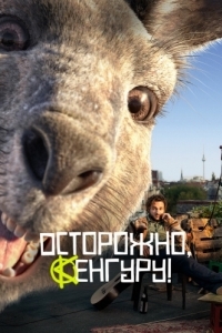 Постер Осторожно, Кенгуру! (Die Känguru-Chroniken)