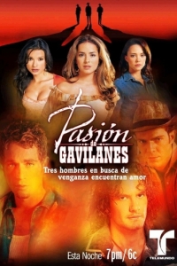 Постер Тайная страсть (Pasión de gavilanes)