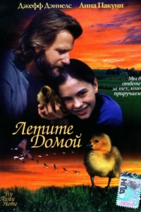 Постер Летите домой (Fly Away Home)