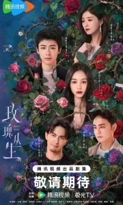 Постер Цикада (Mei gui cong sheng)