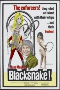 Постер Черная змея (Black Snake)