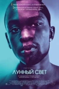 Постер Лунный свет (Moonlight)