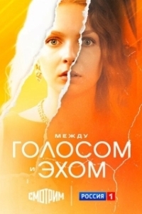 Постер Между голосом и эхом 