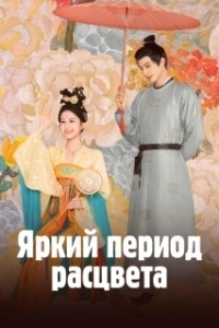 Постер Яркий период расцвета (Shao hua ruo jin)