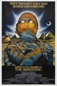Постер Воскрешение (The Awakening)