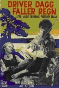 Постер Дождь после росы (Driver dagg faller regn)