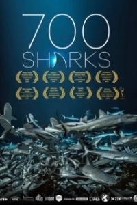Постер 700 акул (700 Sharks)