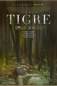 Постер Тигр (Tigre)