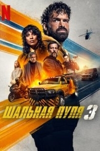 Постер Шальная пуля 3 (Balle perdue 3)