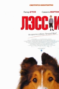 Постер Лэсси (Lassie)