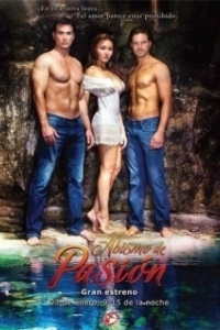 Постер Бездна страсти (Abyss of Passion)