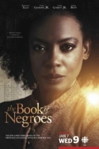 Постер Книга рабов (The Book of Negroes)
