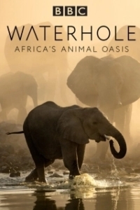 Постер BBC. Водопой: Африканский Оазис для Животных (Waterhole: Africa's Animal Oasis)