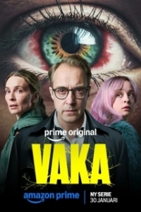 Постер Бессонница (Vaka)