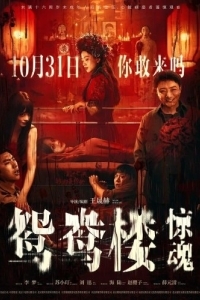 Постер Любовное гнёздышко (Yuan yang lou jing hun)