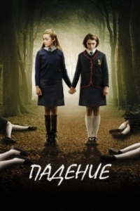 Постер Падение (The Falling)
